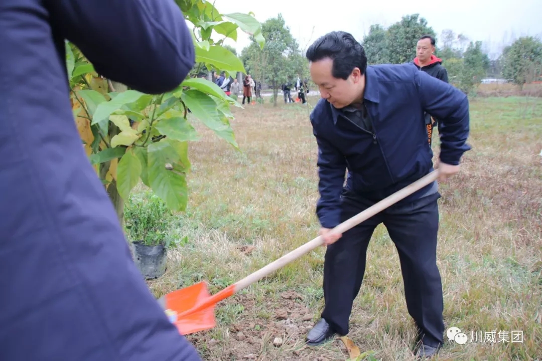 川威集團舉辦2019年植樹節活動(圖2)